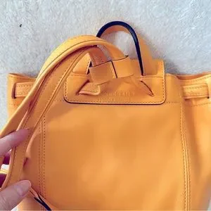 Longchamp | Bags | Nwt Longchamp Soft Calf Leather  display picture 1